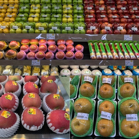 Packaging Netting PE Foam Fruit Netting With Factory Price