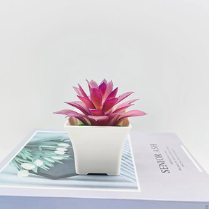 Plantas Suculentas Artificiales Qi Xing en Maceta de 10 cm, Decoración Interior de Plástico - Product Image 4