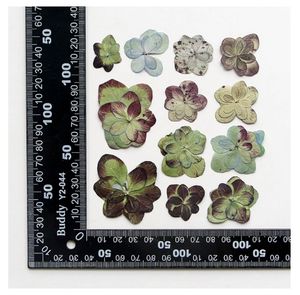 Hortensia <span class=keywords><strong>Macrophylla</strong></span> natural de doble flor, planta real seca y prensada para decoraciones de Navidad o Pascua - Product Image 6