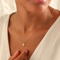 Mode 12 Mois Naissance Fleur Collier Camélia Zircon Pendentif Collier 18K Plaqué Or Manteau Chaîne Bijoux Anniversaire Idée Cadeau