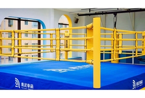<span class=keywords><strong>Ring</strong></span> <span class=keywords><strong>de</strong></span> <span class=keywords><strong>Boxeo</strong></span> FIHGTBRO FBL <span class=keywords><strong>de</strong></span> <span class=keywords><strong>4x4</strong></span>, Independiente, Montado en el Suelo/Plegable, <span class=keywords><strong>de</strong></span> 4-7 Metros, Incluye Cubierta <span class=keywords><strong>de</strong></span> Alfombra, Logotipo Personalizado para Glory ONE - Product Image 6