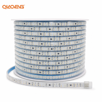 Bande LED PVC sans conducteur 220V 2835 240LEDs/m 16W/m 3500K Blanc Chaud IP65 Certifiée CE RoHS Rouleau de 100m pour Utilisation Extérieure