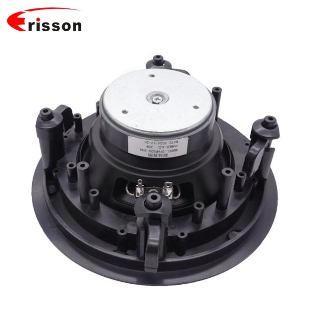 High Quality 5.25 Inch for Wireless Ceiling Speaker with 60 Watts Customizable Power Wi-Fi Connectivity · image 4