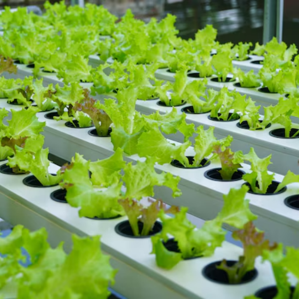 Pvc Square Tube Design Heavy Duty Hydroponic NFT PVC Pipe Channel for Container Greenhouse and ...