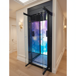 Ascensor Residencial Moderno para Viviendas <span class=keywords><strong>de</strong></span> 2 Pisos, Elevador para el Hogar con Cabina <span class=keywords><strong>de</strong></span> Vidrio y Puertas Automáticas, Ascensor para Pasajeros - Product Image 3