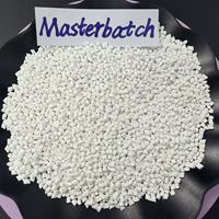 Masterbatch plastique blanc de haute qualité PE PP PET ABS PC pour injection, film soufflé et extrusion