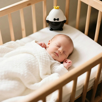Berceau Électrique Automatique pour Bébé, Rechargeable, Portable, à Fixer au Landau, Fonction de Vibration Silencieuse
