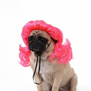 Nouvelle Perruque Universelle pour Chien, Accessoire de Fête d'Halloween avec Grande Coiffure Ondulée, Fournitures Amusantes pour Animaux de Compagnie (Chiens et Chats) pour l'Été - Product Image 6