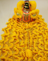 Usine chinoise artisanat à la main taille normale chine deux personnes Performance Costume de danse du Lion Culture chinoise danse du Lion danse du Lion