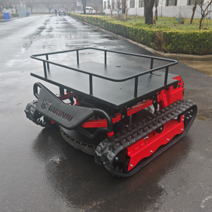 <span class=keywords><strong>Tosaerba</strong></span> Funzionale a 4 Tempi con Motore Potente e Cestello Portaoggetti, Tipo Cingolato per Tutti i Terreni, Bestseller - Product Image 2