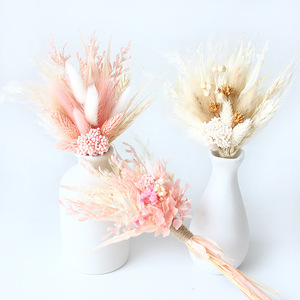 Juego de Colas de Conejo de <span class=keywords><strong>Pampas</strong></span> Ecológicas de 23 cm para Decoración del Hogar Estilo Boho <span class=keywords><strong>Chic</strong></span>, Aniversarios y Fiestas - Product Image 1