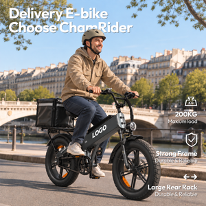 Vélo cargo électrique D32 48V32Ah, autonomie 128 km, pneus larges de 20 pouces, frein à disque, cadre en aluminium - Product Image 5