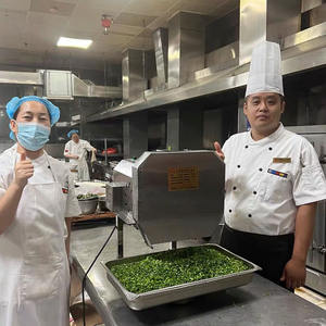 Machine à Trancher <span class=keywords><strong>les</strong></span> Légumes et <span class=keywords><strong>les</strong></span> Fruits Commerciale Écologique en Acier Inoxydable 304 à Haute Sécurité, Dispositif de Coupe de Pommes de Terre et d'<span class=keywords><strong>Oignons</strong></span> - Product Image 6