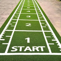 Herbe de sport multifonctionnelle Artificielle Vert Noir Jaune Gris Astro Gazon Tapis de gymnastique avec logo imprimé
