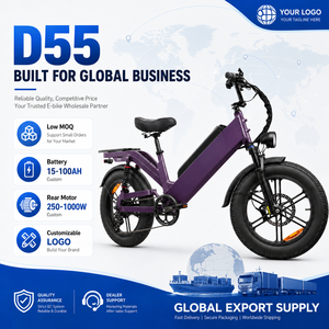 Bicicleta Eléctrica de Carga D55 OEM Personalizada, Bicicleta Eléctrica de Reparto con Batería de Gran Capacidad, Venta al por Mayor de Fábrica para Compradores de Flotas - Product Image 1