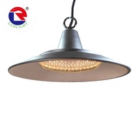 Lampu pertumbuhan tanaman LED 50w 80w aluminium tahan air spektrum penuh pertumbuhan sayuran Gerbera stroberi lampu pertumbuhan Teluk tinggi
