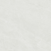 Carrelage mural en porcelaine aspect marbre gris clair 400x800mm, antidérapant, facile à nettoyer, imperméable pour salle de bain, cuisine, salon, moderne