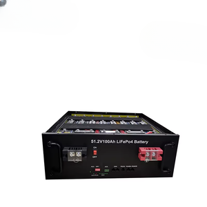 5KWh แบตเตอรี่แร็กเมาท์100Ah 51.2V แบบกำหนดเองพร้อมแร็ค4U BMS อัจฉริยะสำหรับอุปกรณ์ทดสอบระบบพลังงานแสงอาทิตย์ - Product Image 1