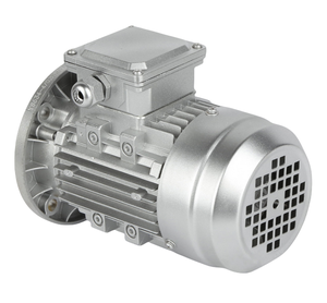 알루미늄 쉘을 사용한 전자기 유도 3 상 Ac 유도 모터 0.37kw 0.55kw 0.75kw - Product Image 2