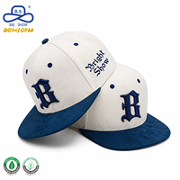 Trendige 3D Puff-Logo Streetwear Hip-Hop-Style Velours Snapback Baseballkappe für Unisex Outdoor-Party Freizeitkleidung 2026 Werbeartikel