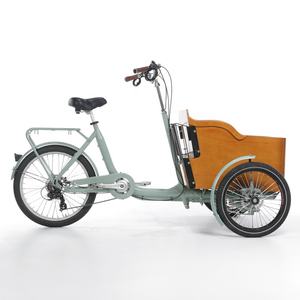 Vélo <span class=keywords><strong>cargo</strong></span> électrique familial à trois roues Holland pour mère et bébé, vélo <span class=keywords><strong>cargo</strong></span> électrique à trois roues pour enfants et animaux de compagnie - Product Image 1