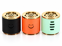 Bouteille diffuseur de parfum pour voiture en verre dépoli dégradé de 120 ml avec bouchon souriant, vide, pour emballage d'arômes domestiques