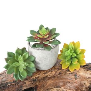 <span class=keywords><strong>Planta</strong></span> Suculenta Artificial <span class=keywords><strong>de</strong></span> <span class=keywords><strong>Echeveria</strong></span> Falsa al por Mayor <span class=keywords><strong>de</strong></span> Fábrica para Decoración - Product Image 5