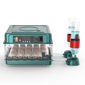 15鸡蛋自动供水全自动保温箱鸡蛋出售 - Product Image 1
