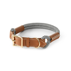 Ensemble collier et laisse pour <span class=keywords><strong>chien</strong></span> <span class=keywords><strong>BioThane</strong></span>, cuir végétalien, imperméable, inodore, durable et résistant pour grands chiens - Product Image 3