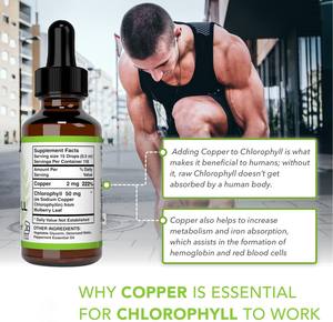 Gouttes de chlorophylle liquide orale de marque privée OEM vente en gros de compléments alimentaires du fournisseur de sommeil molène pour l'amélioration du sommeil - Product Image 4