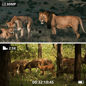 منظار ليلي حراري بدقة 30 ميجابكسل مع شاشة عرض عالية الدقة <span class=keywords><strong>3</strong></span> بوصة للرؤية الليلية والنهارية وتكبير رقمي 6 أضعاف - Product Image 5