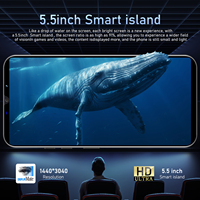 Smartphone Camon 30 Premier Android 5.0 pouces 1+16 Go ROM 1500 mAh Téléphone portable Google Play Store 2+2MP Réseau 3G Smartphones intelligents