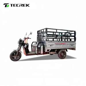 Tricycle ouvert polyvalent TECREK avec une charge utile de 400 kg et une autonomie de 30 à 50 km - Product Image 3