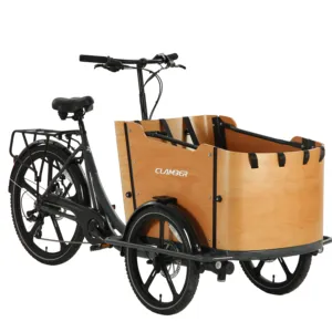 3 ruote bici elettrica triciclo 20/26 pollici pneumatico 3 ruote triciclo Cargo bici elettrica per adulti UB9050E
