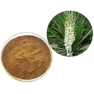 Ekstrak bubuk Yucca Schidigera alami, ekstrak herbal ekstrak akar Yucca Schidigera kualitas tinggi