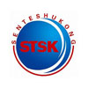 Zaozhuang Sente Cnc Equipment Co., Ltd. logo