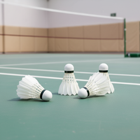 Badminton léger, personnalisé, durable, entraînement, classe, balle en plumes de canard, tête en plastique mousse, 12 pièces, badminton amateur