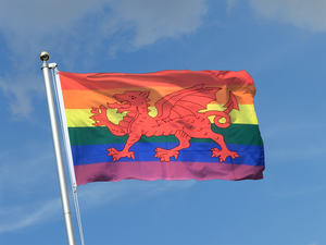 Nueva bandera del orgullo gay del arco iris Bandera de 3x5 pies Festival LGBT Signo mexicano - Product Image 6