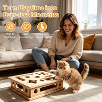 Lime à ongles intégrée en papier de verre, boîte d'enrichissement pour chat, jouet de grattage et de stimulation mentale pour chats d'intérieur