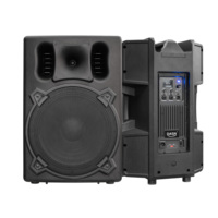Haut-parleur PA actif compact en plastique pleine fréquence DASN DNR 15DQ 15 pouces 700W RMS DSP Audio pour extérieur, scène DJ et home cinéma
