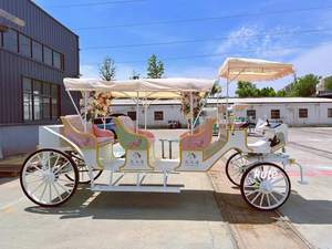 Chariot de réception de mariage, chariot électrique personnalisé pour la visite des sites, avec décoration intérieure sur mesure - Product Image 1