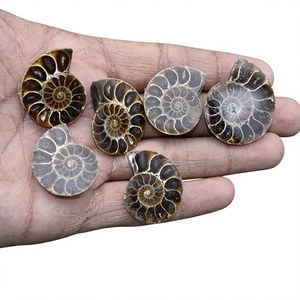 Lote de Gemas de Amonita Natural de Alta Calidad al por Mayor, Cabujones para Joyería, Sensación de Felicidad, Mejor Piedra, FAIJAN GEMS Rajasthan - Product Image 1