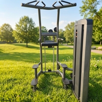 Station de dips professionnelle avec barre de traction – Tour de musculation robuste de qualité commerciale pour la calisthénie avec poids et l'entraînement au poids corporel