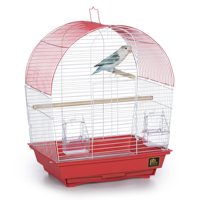 Cage à oiseaux durable à toit en dôme, ferme structure en fer, construction métal-plastique, fermeture auto-agrippante, plateau de nettoyage extractible, perchoirs en bois