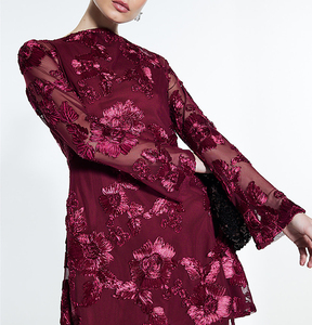 <span class=keywords><strong>Abito</strong></span> da donna rosso 3D con ricamo floreale in Mesh manica lunga aperta con cravatta stringata <span class=keywords><strong>Mini</strong></span> <span class=keywords><strong>abito</strong></span> elegante da sera <span class=keywords><strong>abito</strong></span> formale da sera - Product Image 3