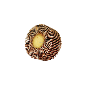 Roue abrasive de <span class=keywords><strong>disque</strong></span> d'aileron de zircone de meulage d'excellente représentation de vente chaude - Product Image 1