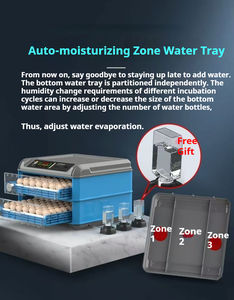 Les incubateurs domestiques sont pratiques et simples, vous permettant d'éclore, d'éclore et d'élever des poussins en une seule fois. - Product Image 2