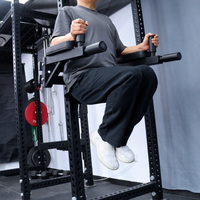 Appareil de musculation polyvalent pour soulevés de genoux, abdominaux, levées de jambes et barres parallèles, en métal robuste et durable, pour usage domestique et commercial