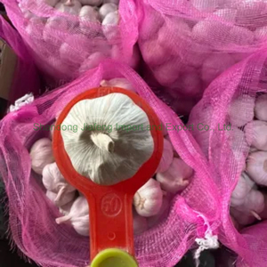 <span class=keywords><strong>Ajo</strong></span> Fresco Chino Premium, Blanco Puro, Saludable para Cocinar, Empaquetado en Bolsa de Malla, Listo para el Mercado - Product Image 5