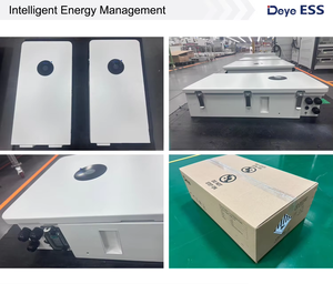 5kwh RW-L5.1 5.12kw แบตเตอรี่ลิเธียมติดผนัง51.2V/100Ah แรงดันไฟฟ้าต่ำสำหรับระบบจัดเก็บพลังงานแสงอาทิตย์ย้อมสี IP65 <span class=keywords><strong>Deya</strong></span> - Product Image 6
